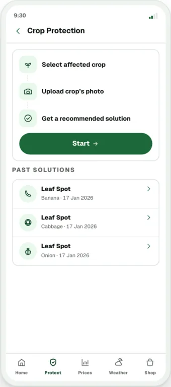 Crop protection screen from the crop protection screens