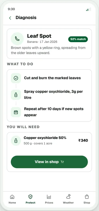 Leaf spot identified screen from the crop protection screens